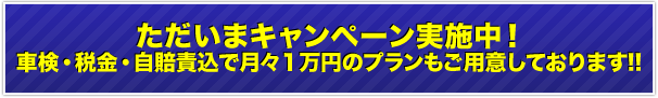 ただいまキャンペーン実施中! 車検・税金・自賠責込で月々1万円のプランもご用意しております!!